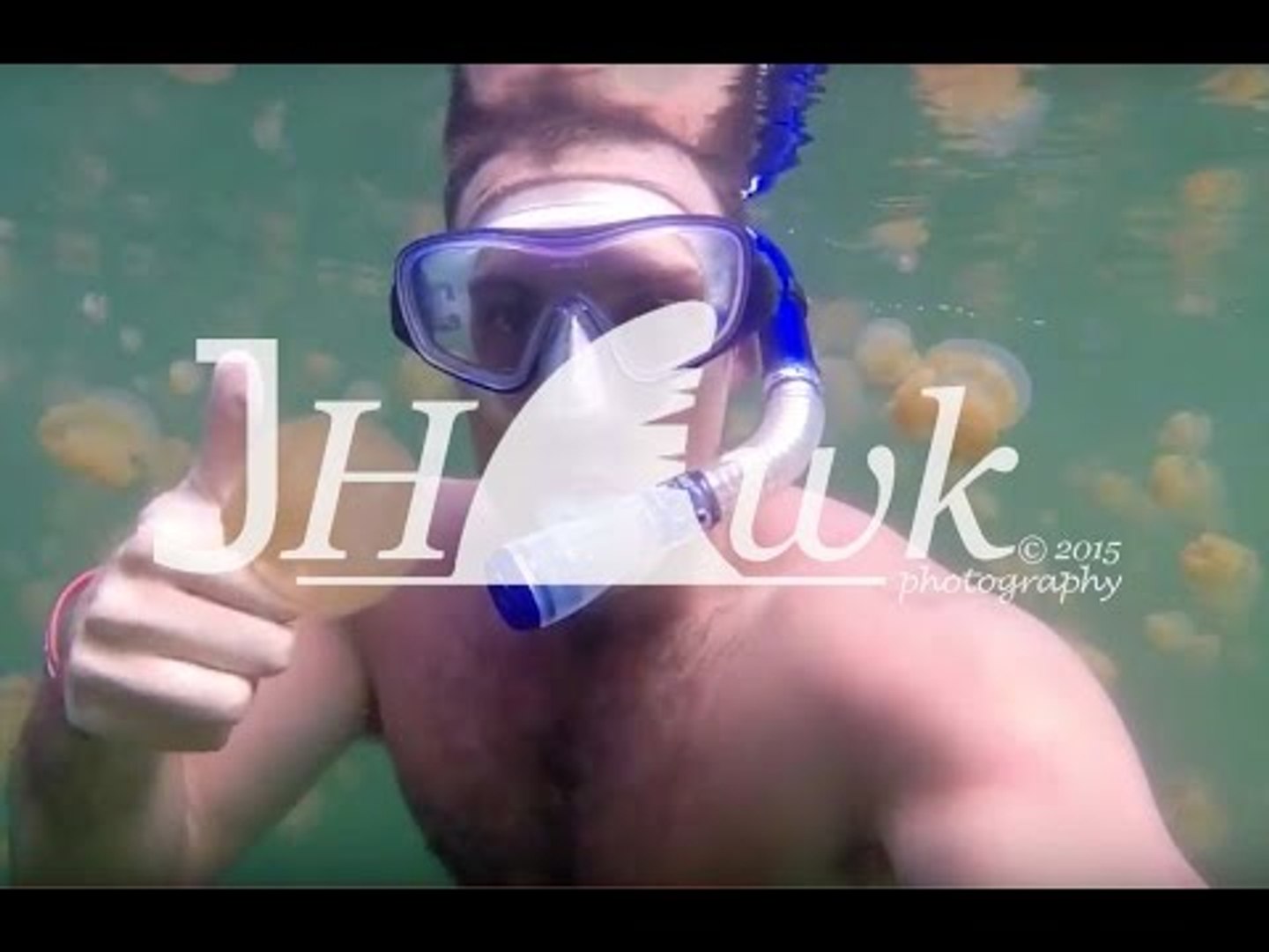 Man Happily Snorkels Alongside Hundreds of Jellyfish
