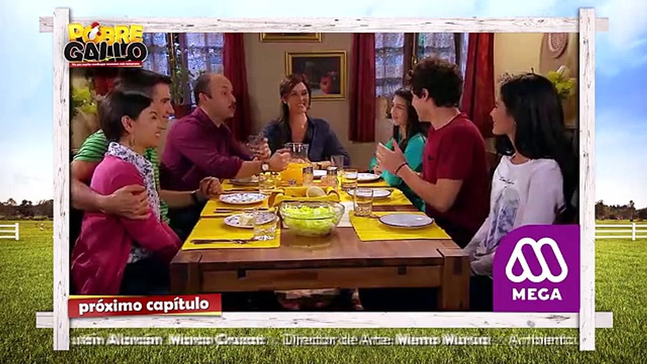 159 Avance Pobre Gallo