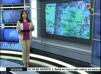Costa Rica: campesinos rechazan integración a Alianza Pacífico
