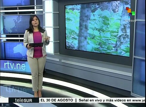 Costa Rica: campesinos rechazan integración a Alianza Pacífico
