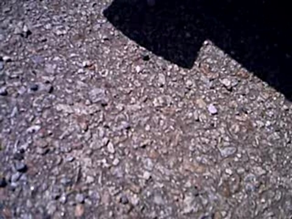 Silencieux et intermediaire inoxcar sur  206