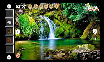 Tropical Woods Escape