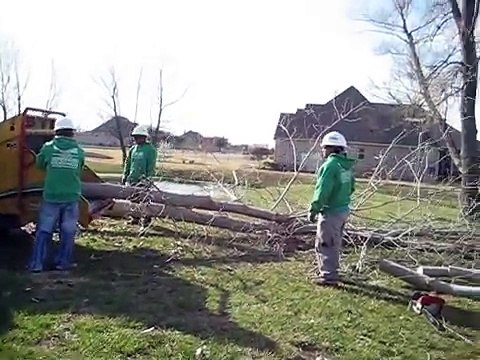 Chippers Tree Service-Quality Tree Services at Affordable Price