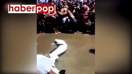 Köpekbalığı ölmemek için can çekişirken insanlar selfie çekti