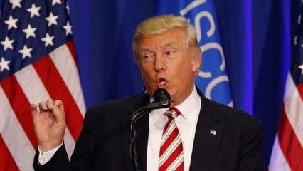 Trump: Rudy Giuliani's policies 'brought down crime by 76 percent'