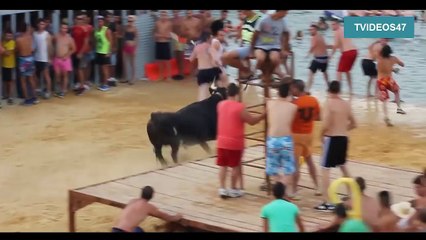 Funny Bullfighting in Spain