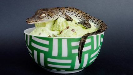 10 Most Bizarre Ice Cream Flavors Around the World