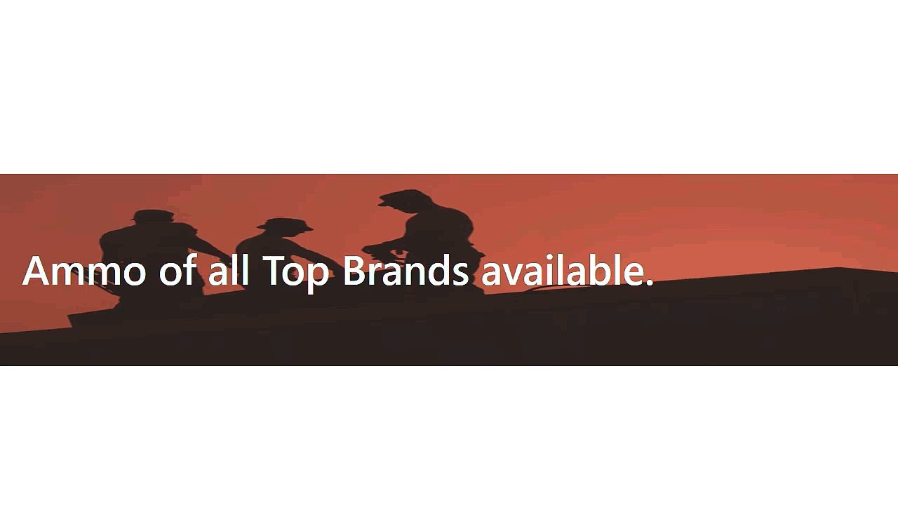 Purchase bulk ammunition