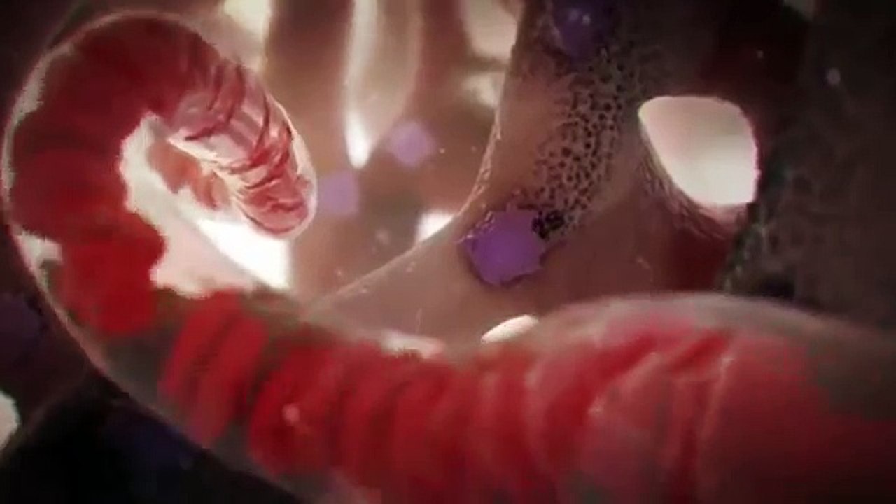 SPERM COUNT-patient educational video ..