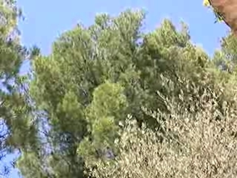 SANY0551