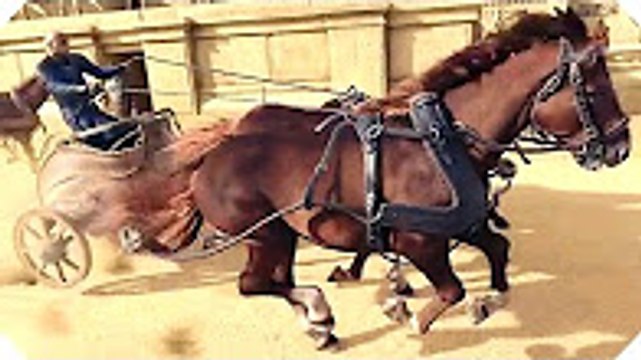 Vidéo 360° 4K - La BLUFFANTE Course de Chars ! - BEN HUR (2016)