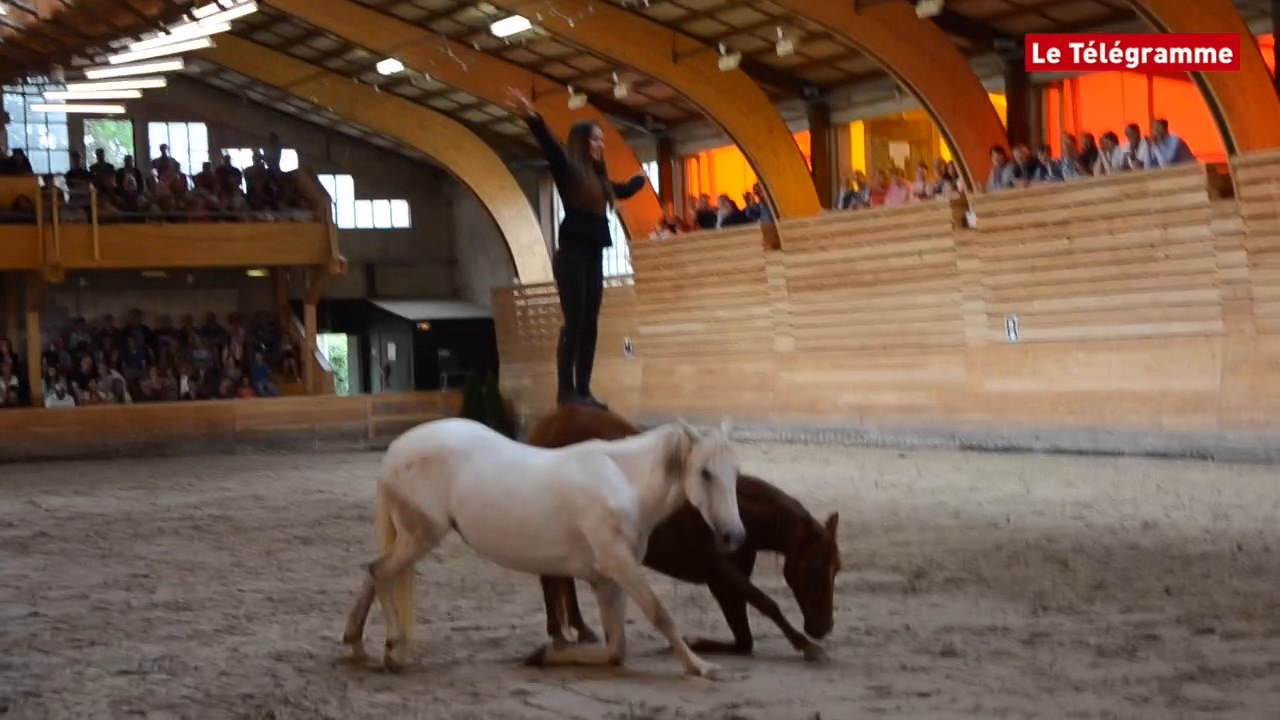 Lamballe. Crinières en fête au Haras national
