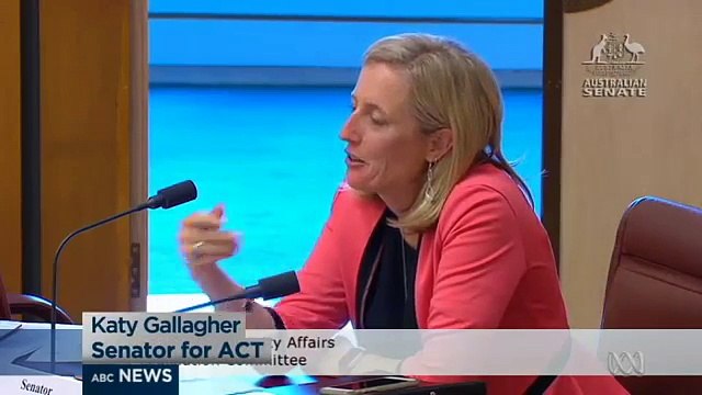 What's mansplaining Senator Mitch Fifield offended by Senator Katy Gallagher's allegation