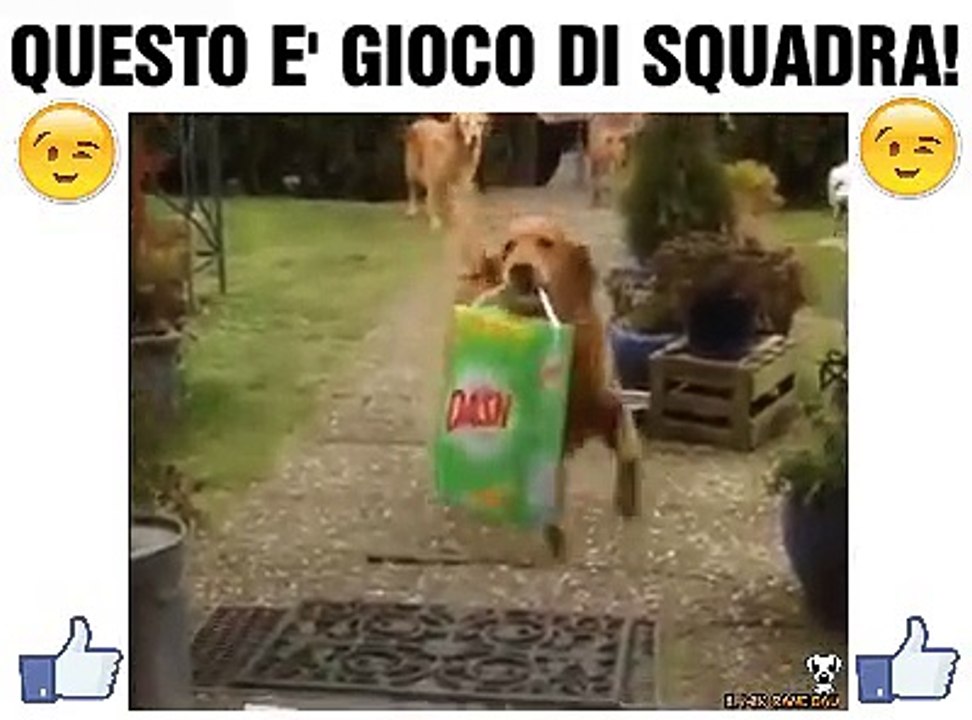 Questo è gioco di squadra!