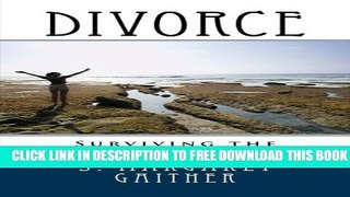 New Book Divorce:  Surviving the Emotional Hurricane