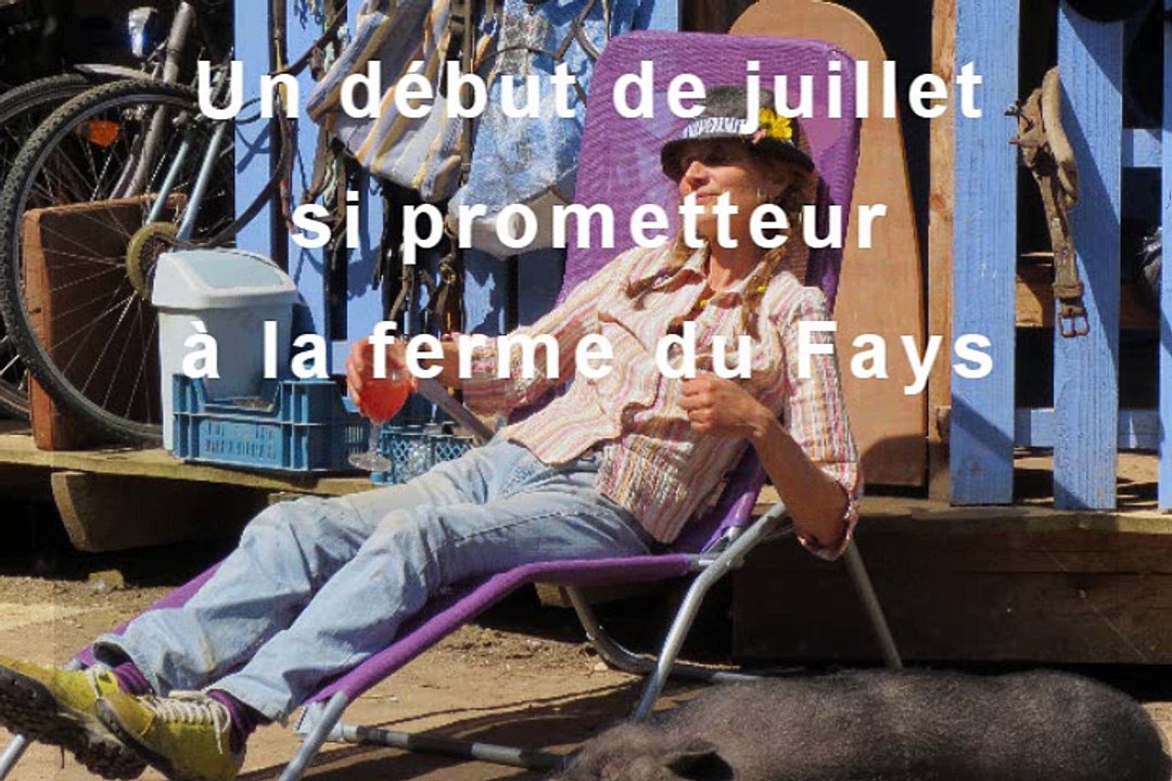 L'odysée des pirates à la ferme du Fays en juillet 2016