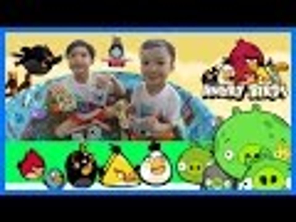 K'Nex Angry Birds Surprise Eggs Blind Bags in Orbeez Swimming Pool | Liam and Taylor's Corner