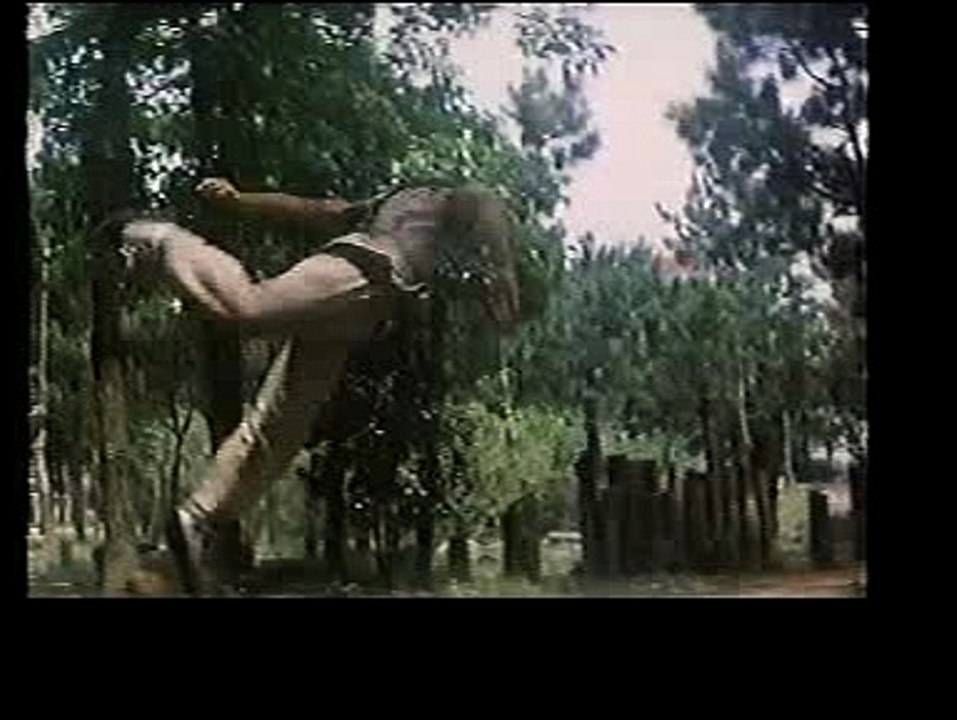 Ninja Hunter ninja fight sq