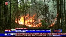 1 Hektare Lahan Milik Universitas Riau Terbakar