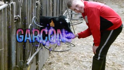 Les mots composés chelous