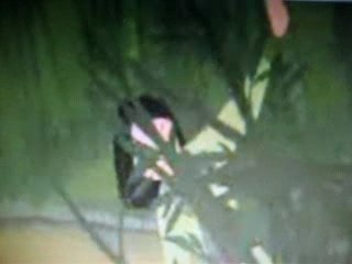 Première leçon (lesson number one) - Mulan 2