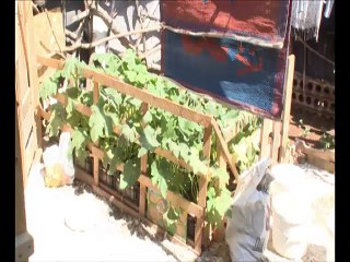 Οι συνθήκες διαβίωσης στο Κέντρο της Ριτσώνας