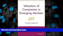 Big Deals  Valuation of Companies in Emerging Markets  Free Full Read Most Wanted