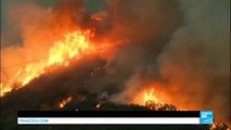 États-Unis : l'incendie Blue Cut poursuit ses ravages en Californie, les pompiers désespérés
