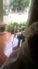 Saudi Kafeel Ko Chor Kar Larki Ka Ajeeb Kam