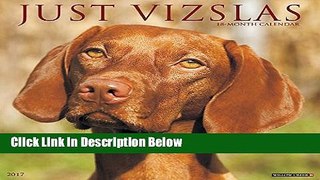 Books Just Vizslas 2017 Wall Calendar Full Online