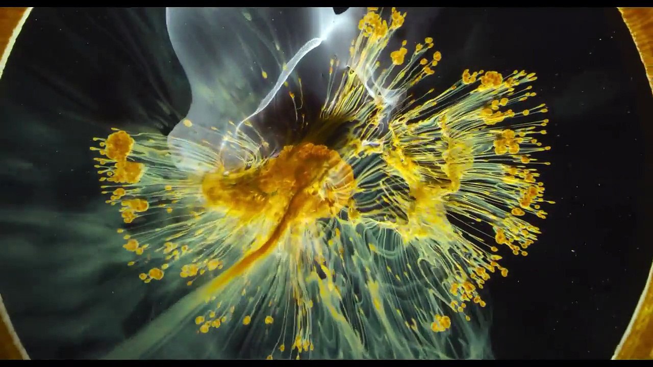 VOYAGE OF TIME Official Trailer #2 - Life's A Journey (2016) Cate Blanchett, Brad Pitt Movie HD