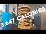 Competitive Eater Takes on 20 Patty McDonald's Cheeseburger