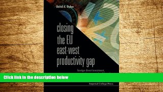 READ FREE FULL  Closing The Eu East-West Productivity Gap: Foreign Direct Investment,