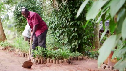 Tanzania: The "Spiceman" fom Zanzibar | Africa on the Move