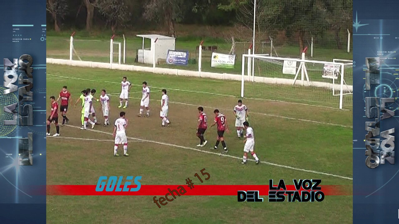 Goles fecha 15