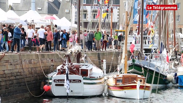 Paimpol. Ces animaux qu'on a forcé à venir aux Vieux gréements