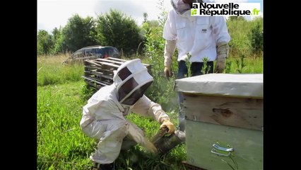 [Vidéo] Delphine Batho chez les abeilles