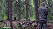 man killed a bear with spear