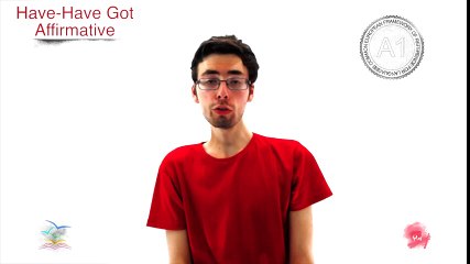 A1 20 Have - Have got Affirmative