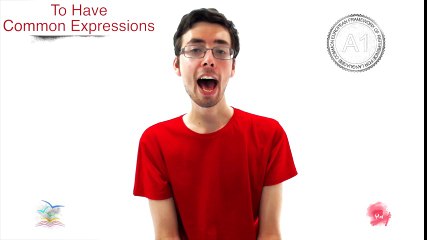 A1 23 To Have: Common Expressions