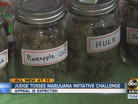 Judge tosses marijuana initiative challenge