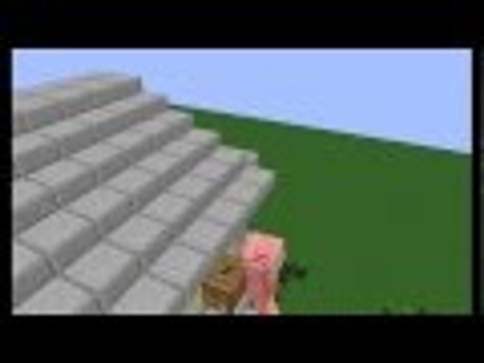 Pigs can fly!