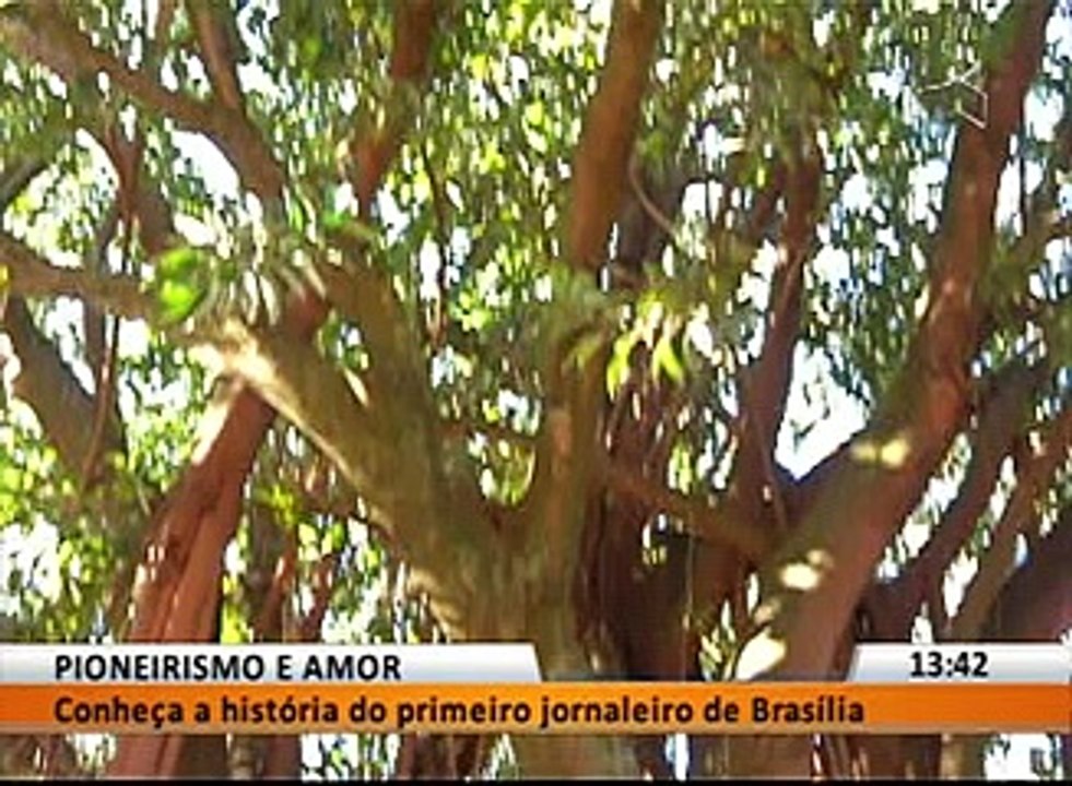 PIONEIRISMO E AMOR