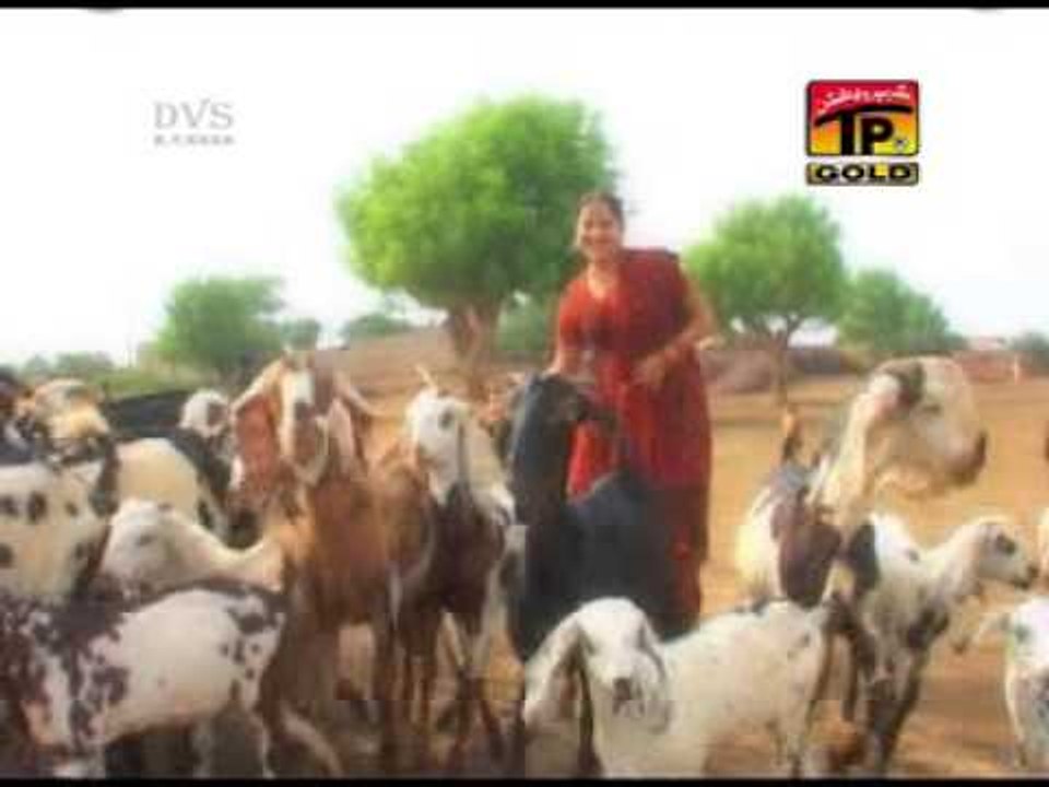 Meda Yaar Saraiki Jewen | Ajmal Sajid | Meda Yar Saraiki | Album 9