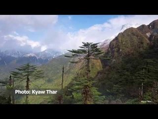 DVB Bulletin: 2 September 2015