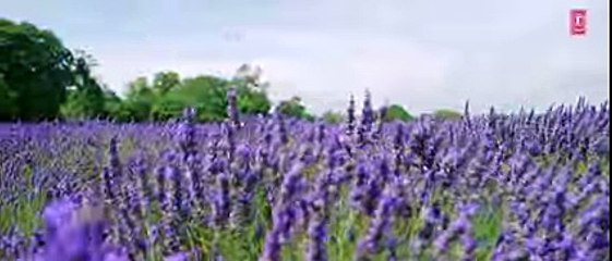 BOL DO NA ZARA Full Video Song - AZHAR - Emraan Hashmi, Nargis Fakhri - Armaan Malik, Amaal Mallik - YouTube