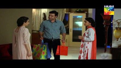 Haya Ke Daman Mein Episode 102 Full HD Hum TV Drama 19 Aug 2016