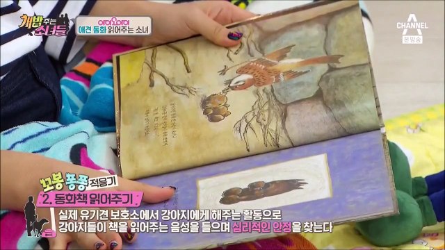 160819 아이오아이 개밥주는 남자 Ep 36 Cut (IOI A Man Who Feed Dogs)