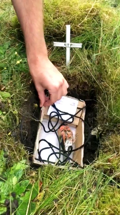 Bird Funeral for Roger Redbreast