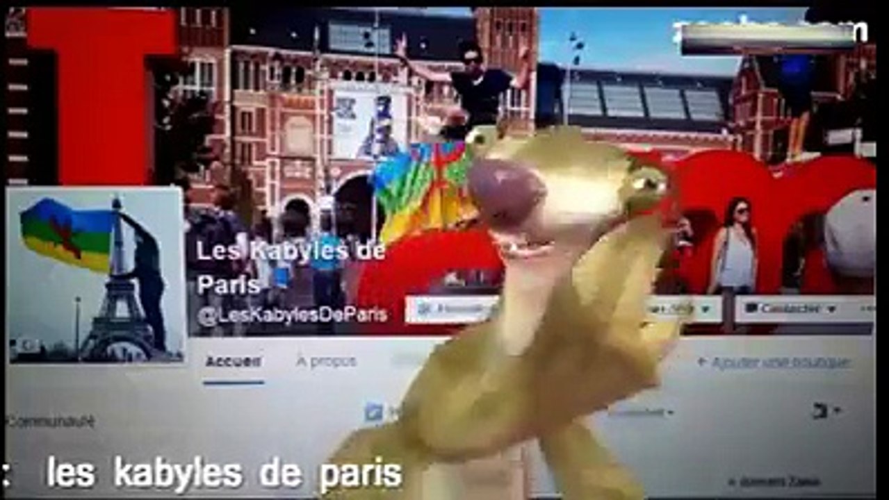 humour pucci  air algérie